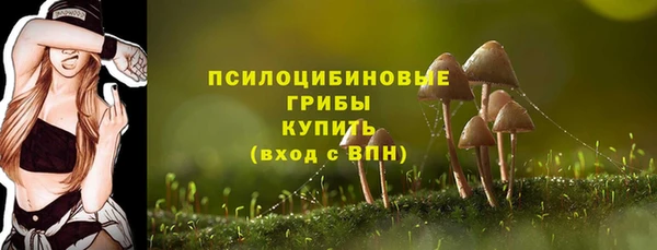 бутират Белокуриха